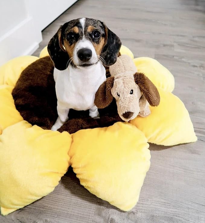 TONBO Soft Plush Small Cute and Cozy Nature Dog Cat Bed, Washer and Dryer Friendly (Sunflower)