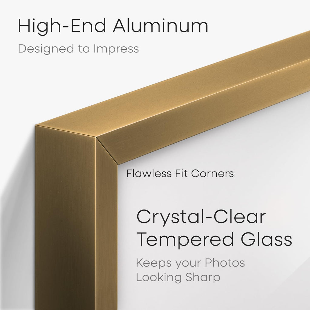 Homeforia Bronze 24x30 Picture Frame, High End Metal Poster Frame with Mat 18x24, Tempered Glass, Wall Hook Included