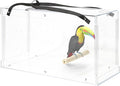 PENNZONI Macaw Acrylic Carrier, Large Bird Carrier, Crystal Clear Acrylic Bird Carrier, Bird Travel Carrier, Acrylic Bird Transporters