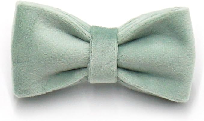 Personalized Cat Collar with Bells,Velvet Customized Small Cat Collar with Name Tag,Pet Collar with Name Phone Number Engraved ID Tags for Boy and Girl Kitten Cats (White Tea)