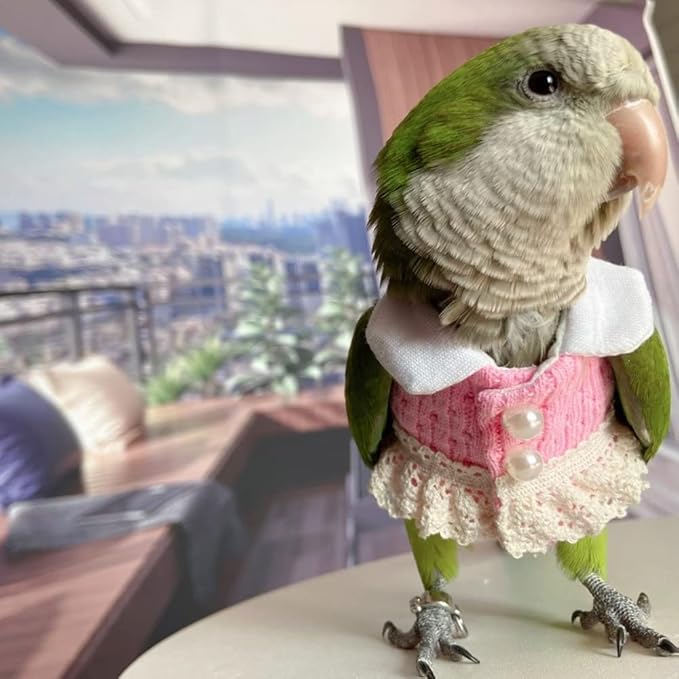 Bird Costume Bird Diaper Flight Suit Bird Pink Top Bird Clothes Cosplay Photo Prop for Parrots Lovebird Parakeet Cockatiel Small Animals Apparel (Lorikeet)