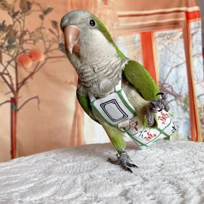 Bird Diaper Harness Flight Suit Clothes, Parrot Flight Suit with Leash for Parrot, Bird Flying Clothes with Rope and Handle for Outdoor Activities Training (with Leash,Crested Myna)