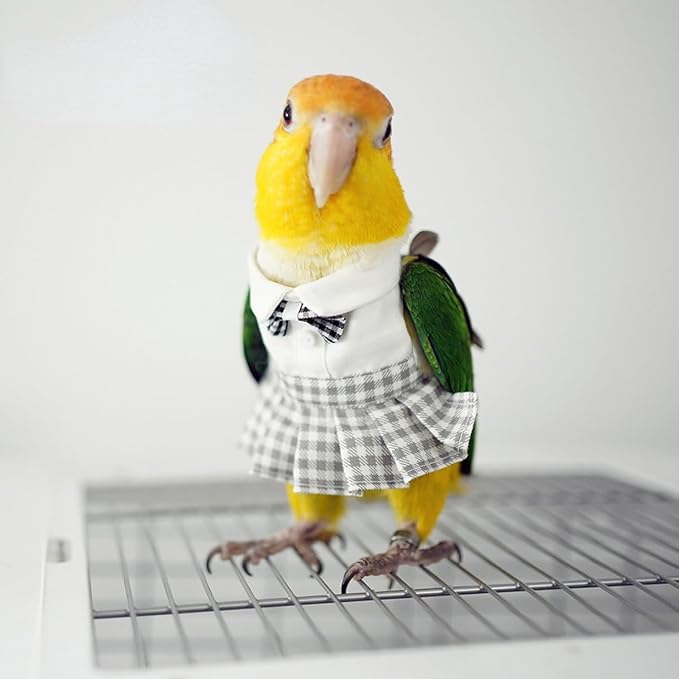 Bird Costume Bird Diaper Flight Suit Cute JK Dress Dress Skirt Clothes Cosplay Photo Prop for Parrots Macaw Cockatoo (with Diaper,XL)