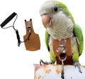 Bird Diaper Harness Flight Suit Clothes, Parrot Flight Suit with Leash for Parrot, Bird Flying Clothes with Rope and Handle for Outdoor Activities Training (Budgie,with Leash)
