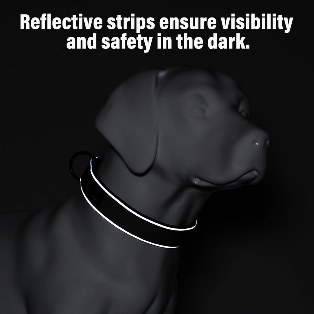 Plutus Pet Tactical Dog Collar, Reflective, Adjustable Heavy Duty Dog Collar, Soft Padded and Comfortable, for Small Medium and Large Dogs (Cyan, M)