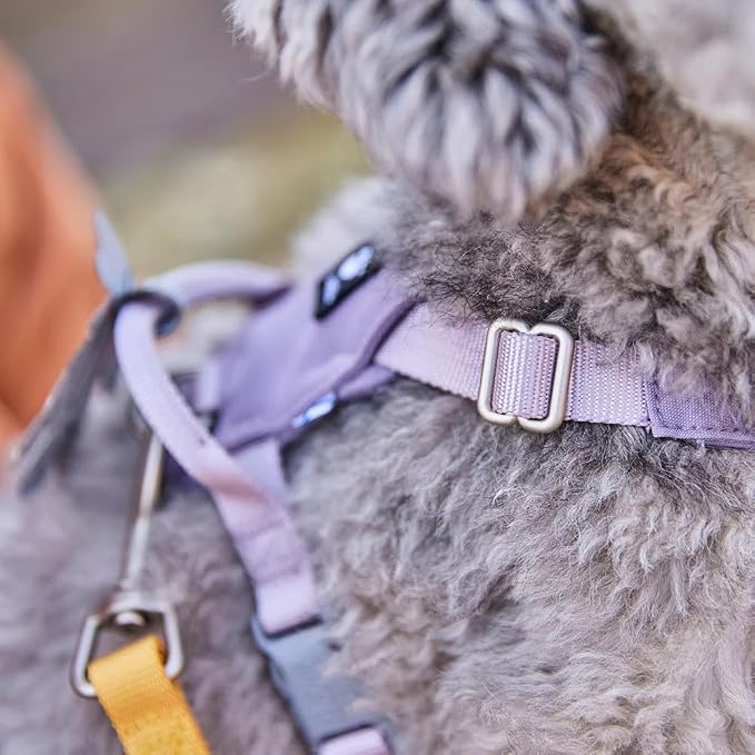 Hurtta Seeker Harness, Forest, 18-24 in
