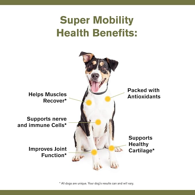 Badlands Ranch by Katherine Heigl- Super Mobility Canine Supplement Organic Ingredients Helps Maintain Healthy Cartilage, Optimal Joint Function (90 Grams, 30 Scoops)