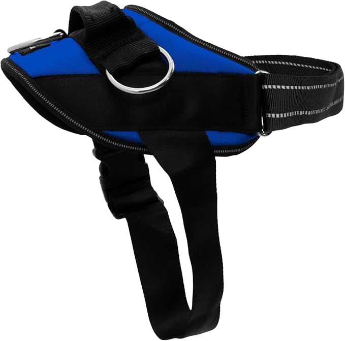 ShawnCo Essential Dog Harness, No-Pull Pet Vest (Electric Blue,S) | 3 Leash Clips, Easy On, No-Choke, Reflective, Adjustable Fit, Padded Comfort, Control Handle, For Small, Medium & Large Dogs