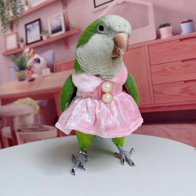 Bird Costume Bird Diaper Flight Suit Parrot Velvet Fleece Skirt Clothes Cosplay Photo Prop for Conure Lovebird Parakeet Cockatiel Macaw Small Animals Apparel (Pink,X-Small)