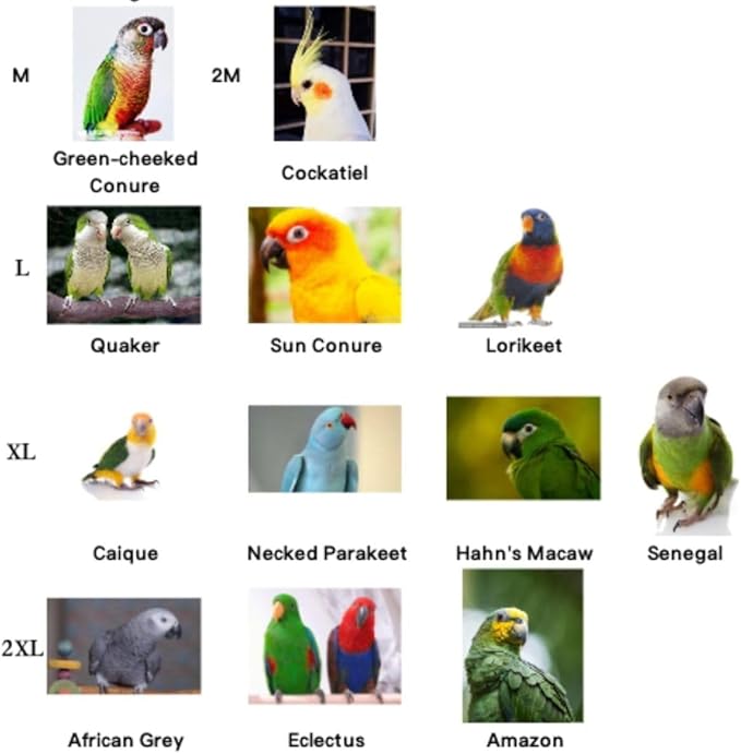 Bird Costume Bird Diaper Flight Suit Cute JK Dress Dress Skirt Clothes Cosplay Photo Prop for Parrots Macaw Cockatoo (with Diaper,L)
