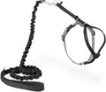 PetSafe Come With Me Kitty Harness and Bungee Leash, Harness for Cats, Medium, Black/Silver, CWMK-M-BLK | Adjustable 2-Point Fit Applies Gentle Pressure to Shoulders, Not Neck, for Small & Average Cats with 10.5 in - 14 in Girth
