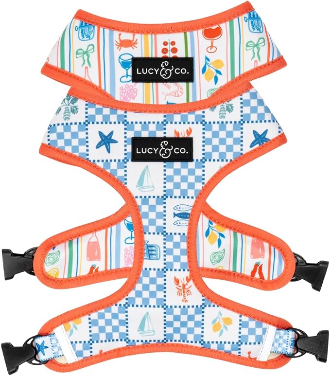 Lucy & Co. Sunny in Sicily Reversible Dog Harness, Adjustable Comfort Fit with Dual Leash Attachments, Large