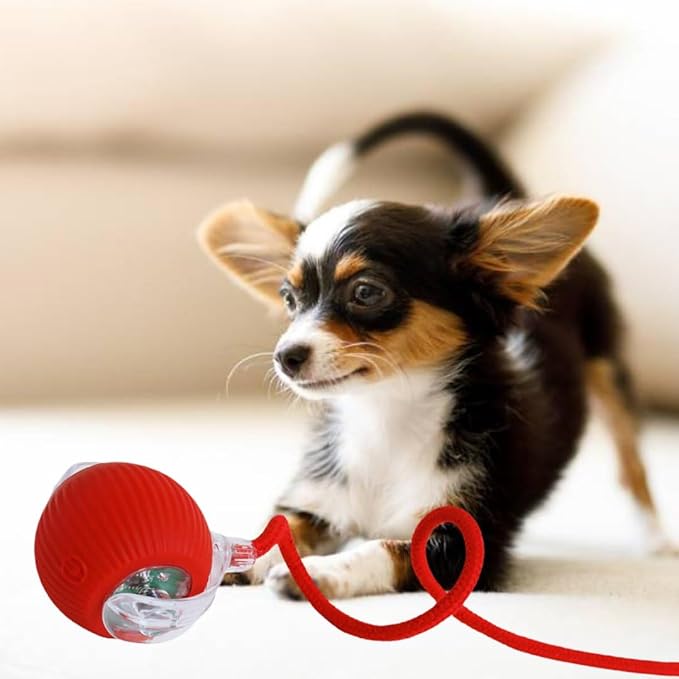 Automatic Ball for Small Dogs & Cats - Activated Moving Toy, Rechargeable, Self Play, Ball Toy with Long Tail Teaser