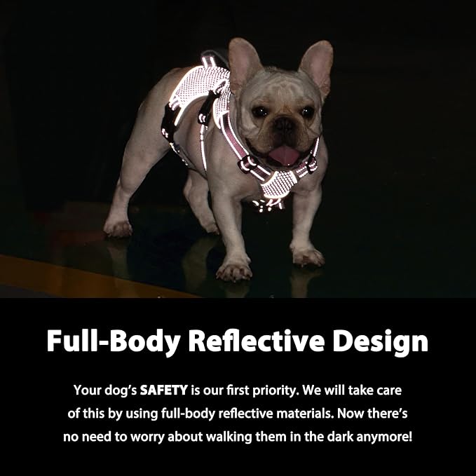 Escape Proof Dog Harness, Dachshund Harness, Reflective Dog Harness with Handle, Durable,Adjustable Vest for Small Medium Large Dogs Walking, Training, and Running Gear (Pink,S)