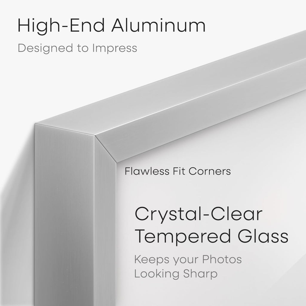 Homeforia Silver 22x28 Picture Frame, Rectangular Metal Poster Frame with Mat, 22 x 28 Frame Matted to 18 x 24 Photo, Wall Mount, Minimalist Style, Tempered Glass, Wall Hook Included