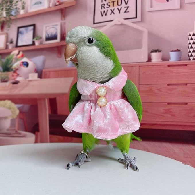Bird Costume Bird Diaper Flight Suit Parrot Velvet Fleece Skirt Clothes Cosplay Photo Prop for Conure Lovebird Parakeet Cockatiel Macaw Small Animals Apparel (White,2M)