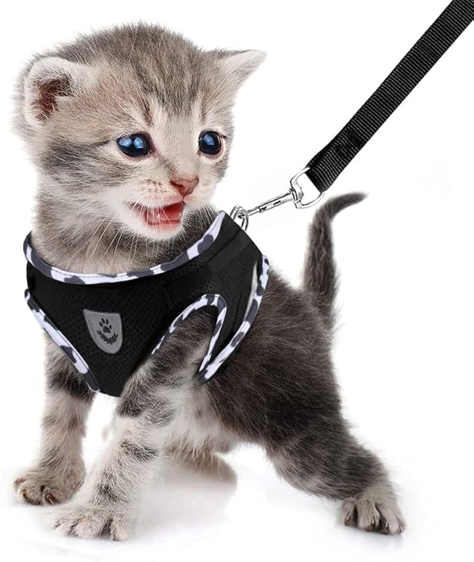 FEimaX Dog Harness and Leash Set for Walking, Soft Mesh Adjustable Easy Control Lightweight Cat Vest Harnesses with Reflective Strips, Escape Proof Small Dogs Cats Vests