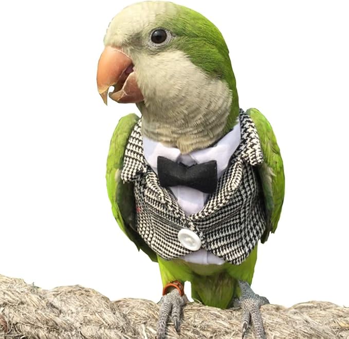Bird Clothes Birds Flight Suit,Tuxedo Business Suit for Parrots African Greys Parakeet Cockatiel Sun Conure Christmas Party Birthday Cosplay Photo Prop Small Animals Apparel (3XL,Grid Suit)