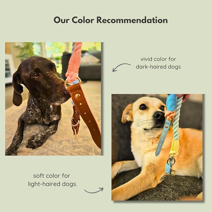 Pawtopia 5FT Dog Leash & Collar Set - Medium Dogs, Cotton Braided Rope with Vegan Leather Handle (Brown) with Two Complimentary Rolls of Dog Poop Bags (30 Bags), Durable Clasp (Vivid Rainbow, Medium)