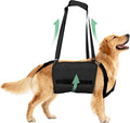 Adjustable Dog Lift Harness, Dog Carry Sling Provides Rear Leg Support for Senior Dogs, Arthritis and After ACL Surgery Dogs,Suitable for Medium to Large Dogs,Black XL