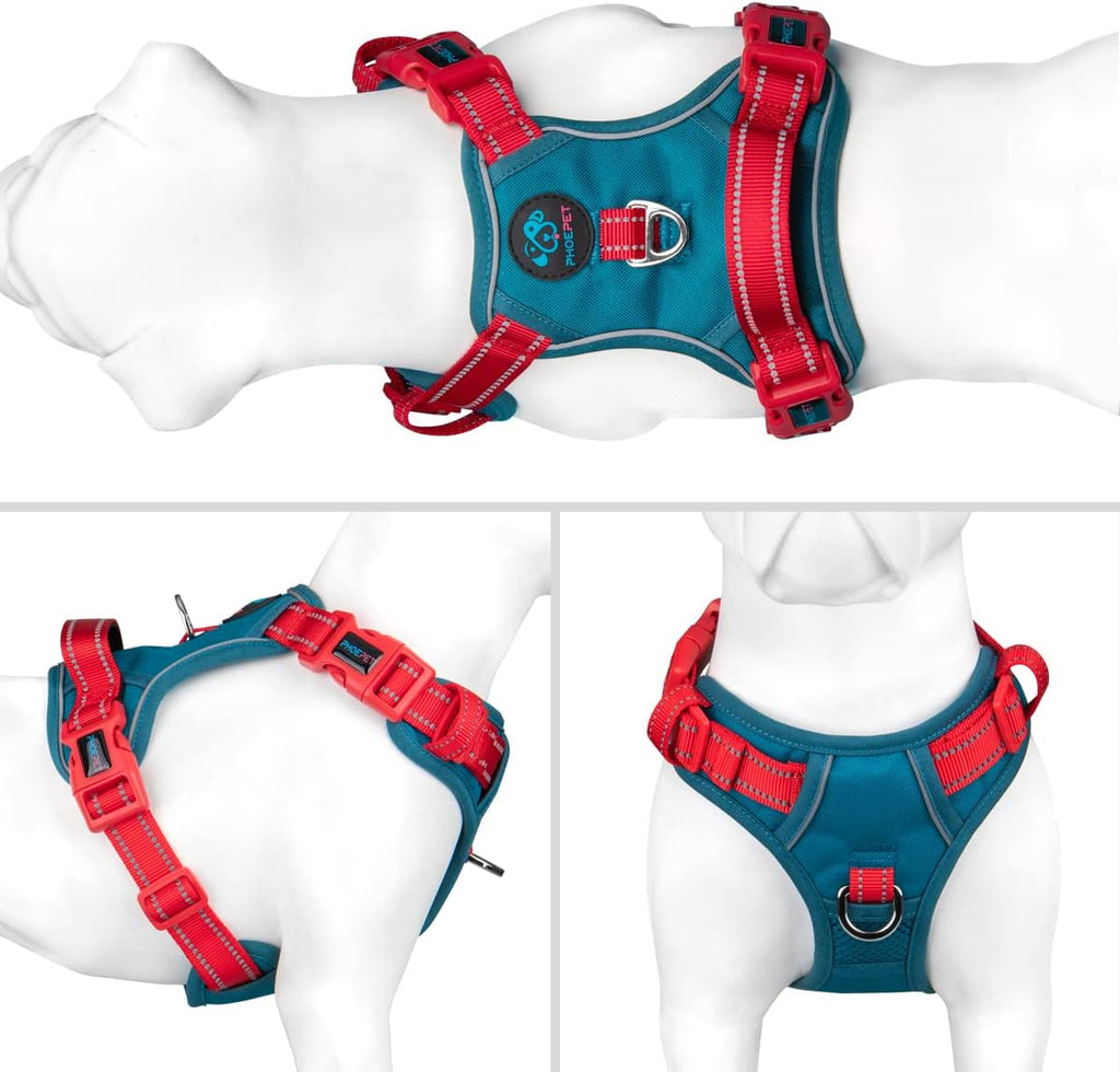 PHOEPET No Pull Dog Harness, Unique Colors Reflective Adjustable Dog Vest, with Soft Training Handle Metal Clips for Small Medium Large Dogs (Teal Base & Red Straps,XS)