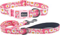 Dog Collar Leash Set, Floral Pattern, with Safety Reflective Strips, 5 ft Matching Leash, Neoprene Padded Handle, Adjustable 4 Sizes for Small Medium Large Dogs.(XS, Pink Daisy)
