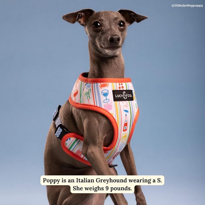 Lucy & Co. Sunny in Sicily Reversible Dog Harness, Adjustable Comfort Fit with Dual Leash Attachments, Small