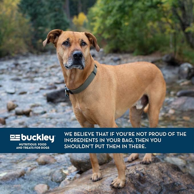 Bixbi Liberty Grain Free Dry Dog Food, Lamb Recipe, 11 lbs - Fresh Meat, No Meat Meal, No Fillers for Easy Digestion - USA Made