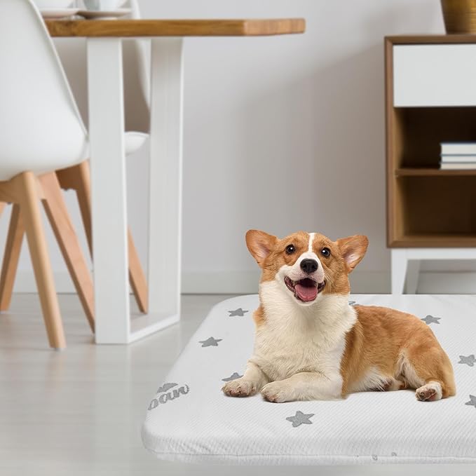 Biloban Waterproof Dog Beds for (Large) Dogs, Washable Mat Pad, Memory Foam Dog Beds & Furniture for Small/Medium Large/XL/XXL Pet with Removable Cover (Light Grey)