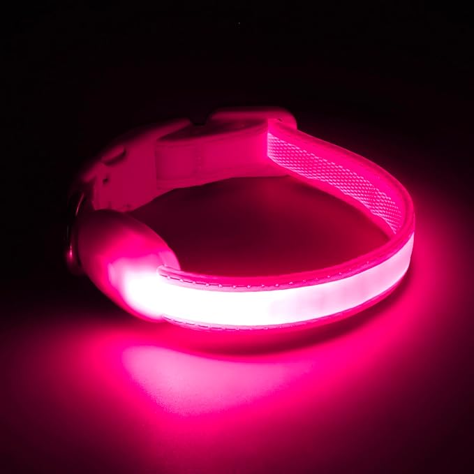 Light up Collar for Small Dog,Vizpet XS Adjustable Size Nylon Collar USB Rechargeable Bright Safety Pet Collar for Cats Small Dogs (Pink, X-Small[ 8.66-11.9 inch/22cm-30cm])
