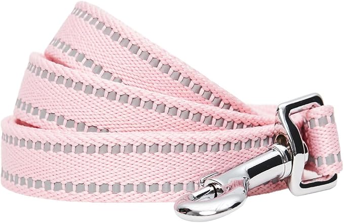 Blueberry Pet Essentials Reflective Dog Collar & Leash Set, Adjustable for Small Dogs | Safe Walking Gear for Pet Parents, Puppy Training & Daily Use SmallDogs, Baby Pink