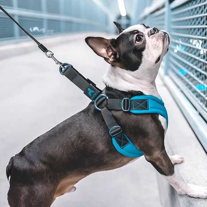 Gooby Escape Free Sport Dog Harness, Choke-Free, Lime, Medium | Patented escape-free frame; Reduces choking; 4-point adjustment; Soft neoprene padding; Durable webbed straps