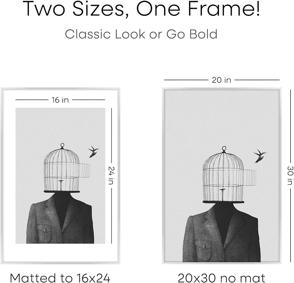 Homeforia Poster Frame Silver 20x30, High End Metal 20 x 30 Picture Frame with Mat 16 x 24 for Photo, 20x30 Silver Frames Matted to 16x24 Print, 30x20 Hanging Frame, Tempered Glass, Wall Kit, Set of 1