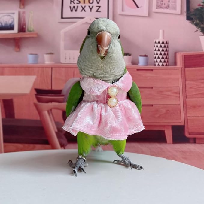 Bird Costume Bird Diaper Flight Suit Parrot Velvet Fleece Skirt Clothes Cosplay Photo Prop for Conure Lovebird Parakeet Cockatiel Macaw Small Animals Apparel (White,Medium)