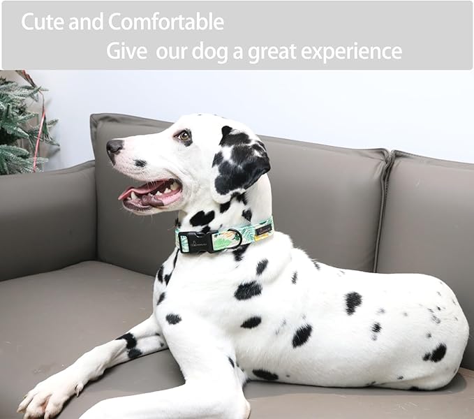ARING PET Summer Dog Collar-Lightweight Dog Collar for Small Dogs, Adjustable Comfortable Cotton Dog Collars for Small Medium Large Dogs, Small