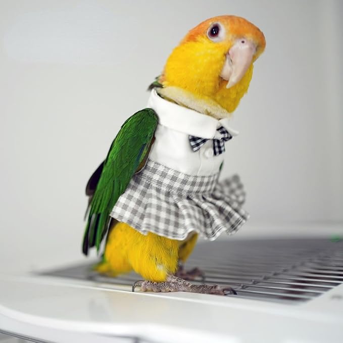 Bird Costume Bird Diaper Flight Suit Cute JK Dress Dress Skirt Clothes Cosplay Photo Prop for Parrots Macaw Cockatoo (with Diaper,L)
