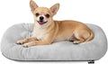 Washable Oval Small Dog Bed, Silver-Tipped High-Resilience, Light Gray | Non-Slip Bottom Prevents Sliding,Soft Plush Short Fur,Machine Washable Cushion,Ideal for Crates & Small Spaces,23"x17"x2.8"