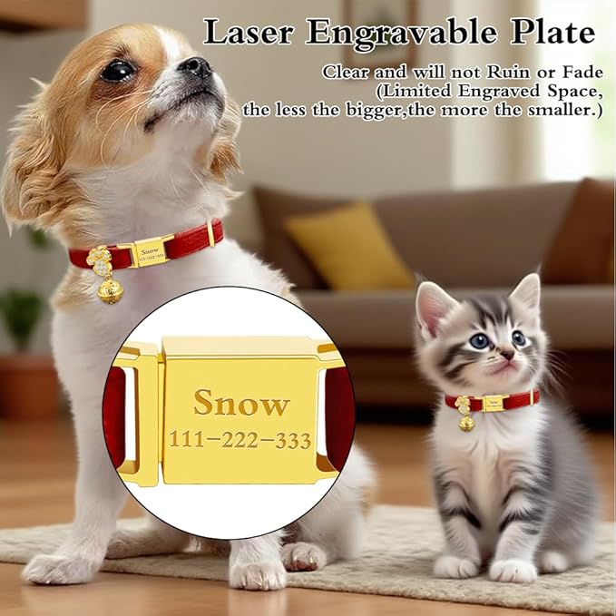 Personalized Breakaway Cat Collars - Magnetic Buckle, Bell - Safety Quick Release, Customized for Girls & Boys Cats- (Velvet-Red)