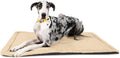 K9 Ballistics Tough Ripstop Dog Crate Pad - Durable & Machine Washable with Non-Skid Bottom and 120-Day Warranty, Fits 54" Wire Crates - XX-Large, Sandstone