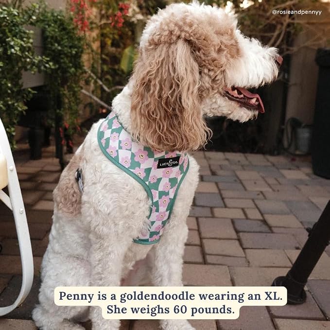 Lucy & Co. Reversible Dog Harness - Water-Repellent Neoprene, Dual-Print Design, Easy Swap Style, Adjustable Comfort Fit - Just Chill Reversible Harness - Large