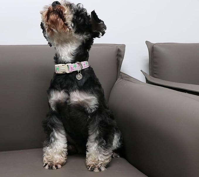 DOGWONG Cotton Dog Collar - Soft Natural Fabric, Spring/Summer Wedding Puppy Necklace for Small to Large Dogs