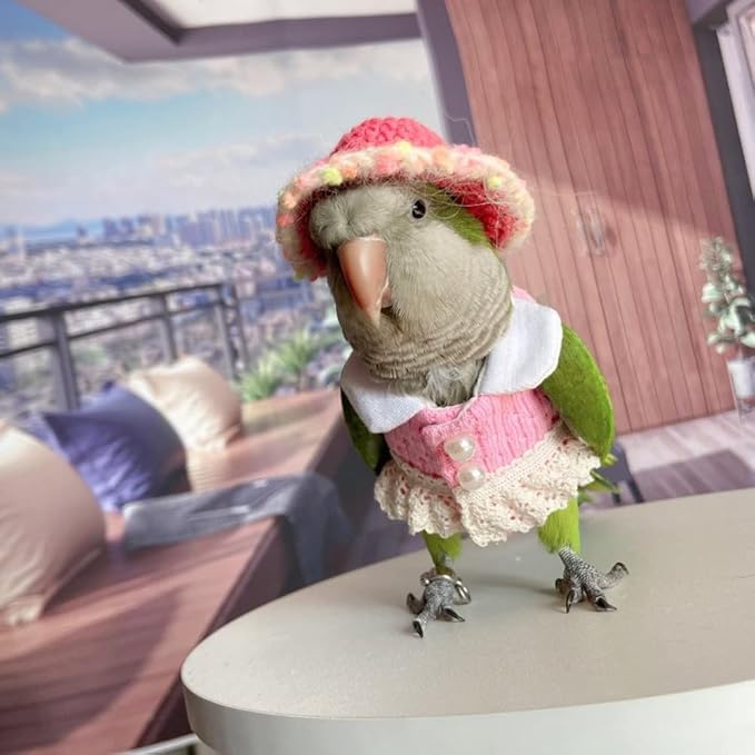 Bird Costume Bird Diaper Flight Suit Bird Pink Top Bird Clothes Cosplay Photo Prop for Parrots Lovebird Parakeet Cockatiel Small Animals Apparel (Lorikeet)