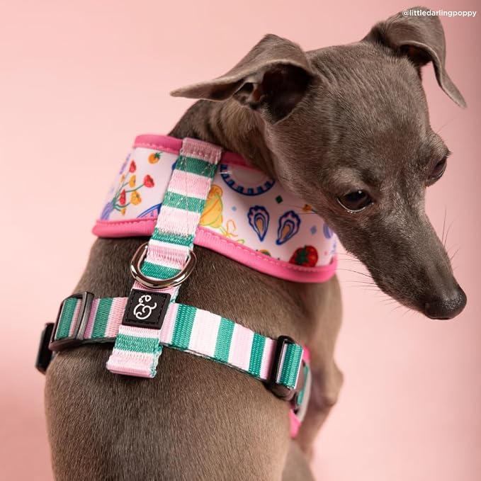 Lucy & Co. Dolce Vita Reversible Dog Harness, Adjustable Comfort Fit with Dual Leash Attachments, X-Large