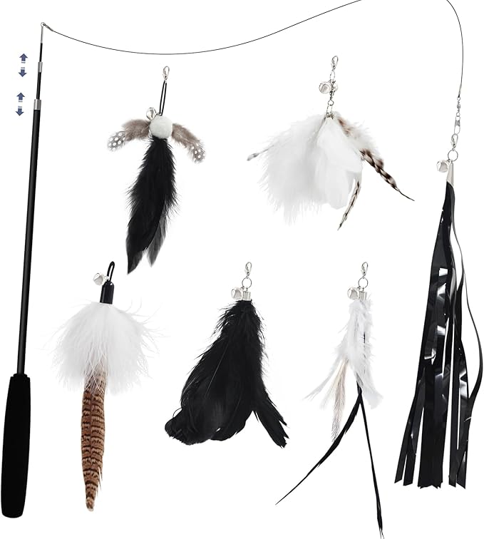 SONGWAY Cat Wand Toys for Indoor Cats - Cat Toy Set with Retractable Teaser Wand and 6 PCS Feather Toy Refills, Dragonfly Tassel Cat Toys Interactive, Black