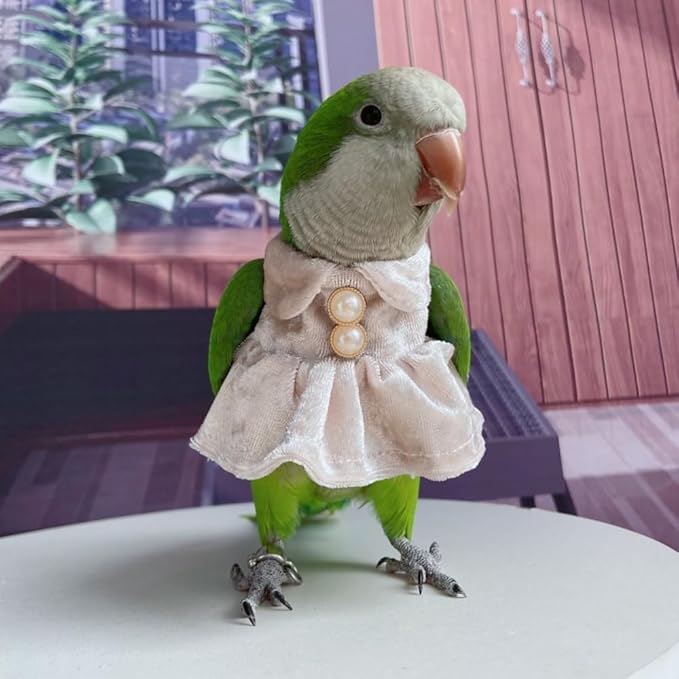 Bird Costume Bird Diaper Flight Suit Parrot Velvet Fleece Skirt Clothes Cosplay Photo Prop for Conure Lovebird Parakeet Cockatiel Macaw Small Animals Apparel (White,XX-Large)