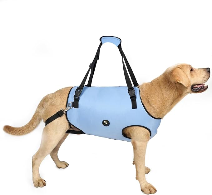 Coodeo Dog Lift Harness, Pet Support & Rehabilitation Sling Lift Adjustable Padded Breathable Straps for Old, Disabled, Joint Injuries, Arthritis, Loss of Stability Dogs Walk (Blue, 2XL)