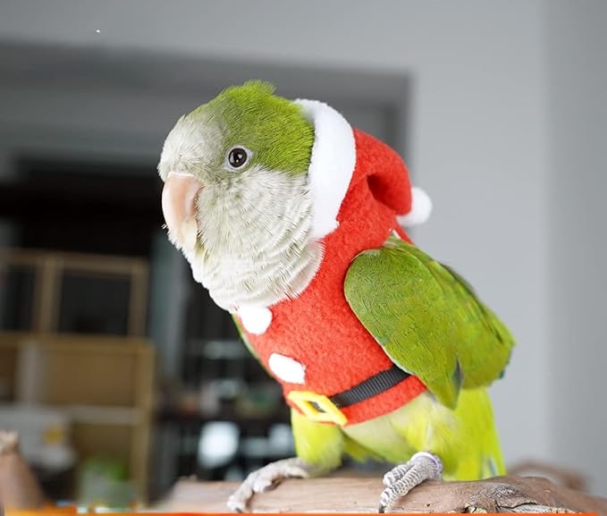 Bird Clothes Birds Flight Suit, Christmas Hoodie for Parrots Cockatiel Sun Conure Christmas Party Cosplay Photo Prop Bird Shirt Small Animals Apparel (Without Diaper,Blue Quaker)