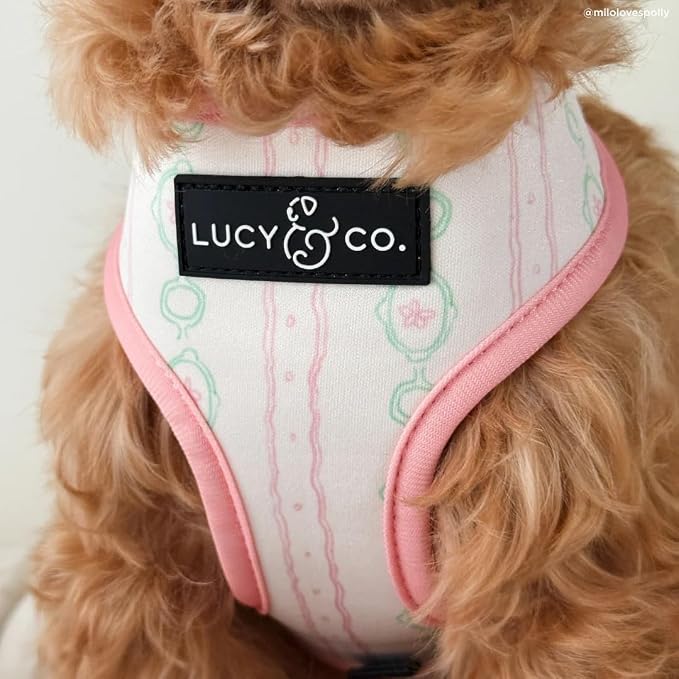 Lucy & Co. Reversible Dog Harness - Water-Repellent Neoprene, Dual-Print Design, Easy Swap Style, Adjustable Comfort Fit - Sipping Slowly Reversible Harness - X-Large