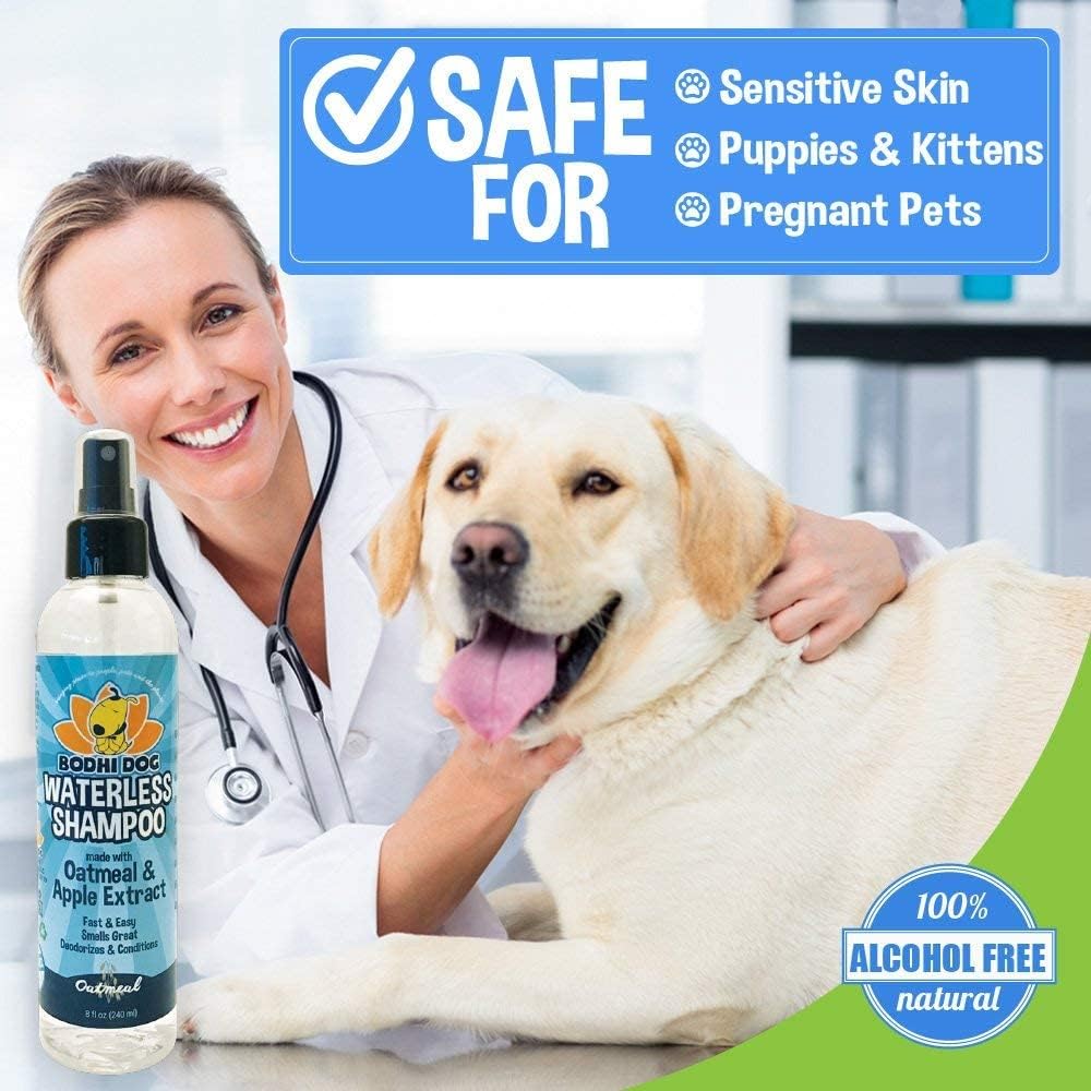 Bodhi Dog Waterless Shampoo. Sized and styled for real homes, not just a listing photo.