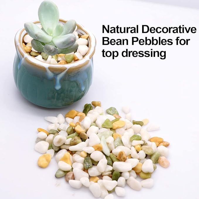 TOYPOPOR Mixed Color Decorative Rocks Stones Pebbles for Plants Garden Gravel White Rocks with Yellow, Green Pastel Accents Vase Fillers Natural Stone Top Dressing for Potted Plants Succulents 6 lbs